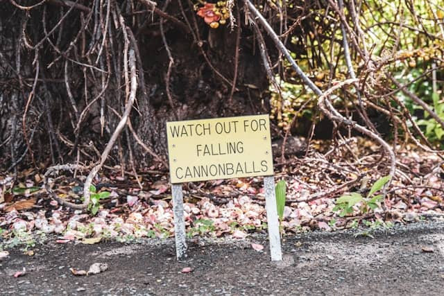slip and fall attorneys in my area